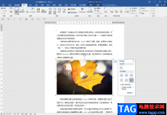 Word文檔去掉圖片上文字的