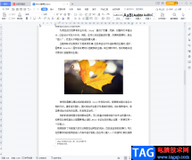 WPS文檔設(shè)置文本框變透明
