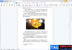 WPS文檔進(jìn)行截圖的方法教