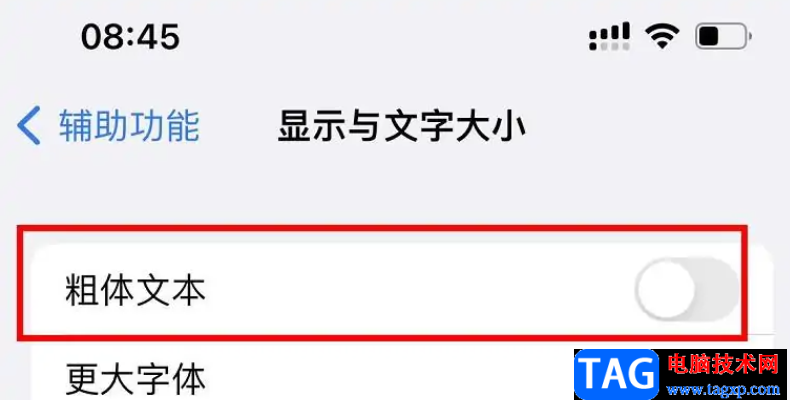 ?iPhone13顯示粗體文本的教程