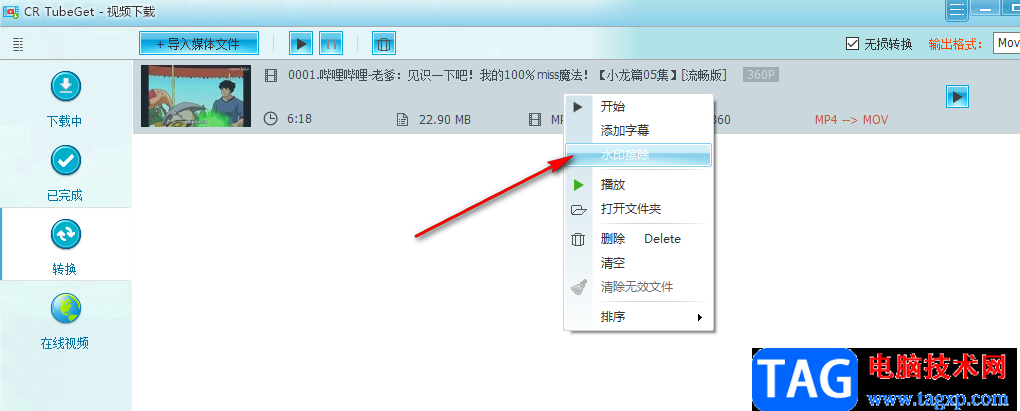 CR TubeGet去除視頻水印的方法
