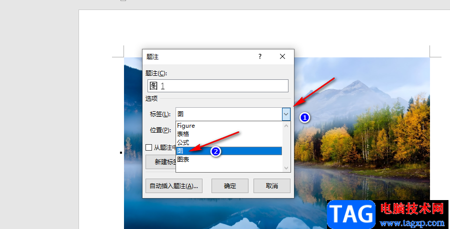 Word添加題注的方法