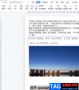 ?wps文檔中的文字縮放1