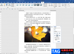 Word文檔中的圖片另存為