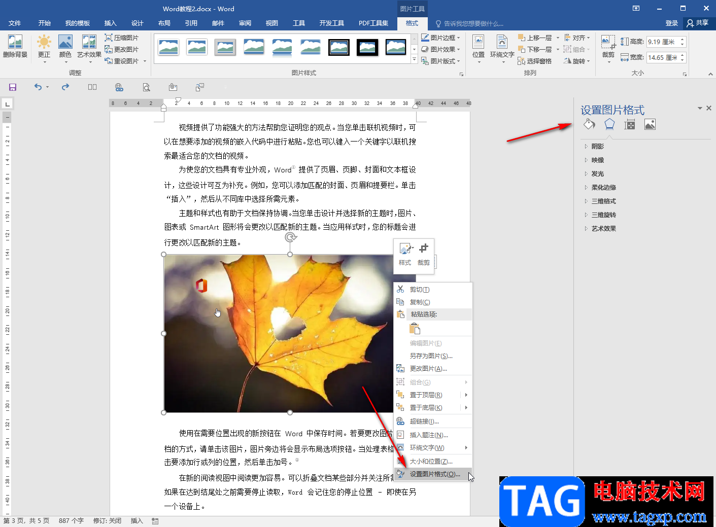Word文檔中的圖片另存為jpg圖片格式的方法教程