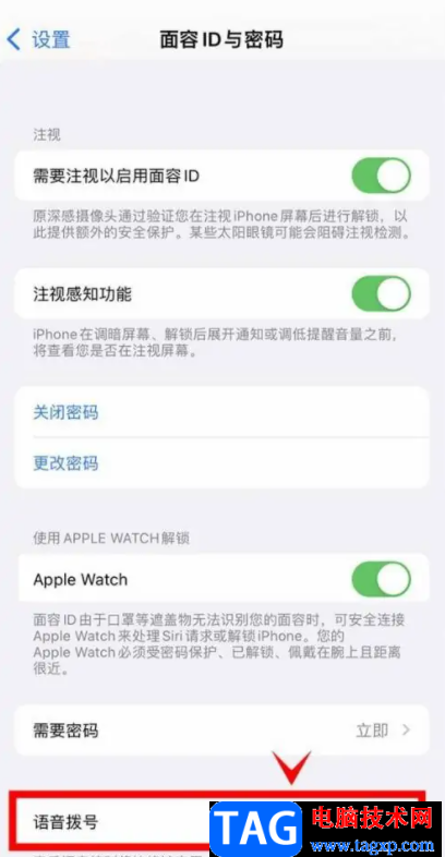 ?iPhone13開啟語音撥號的教程