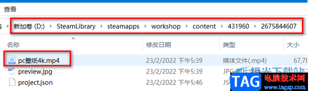 wallpaper engine把壁紙保存到本地電腦的方法