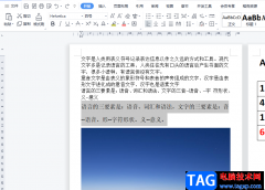 ?wps文檔將文字標(biāo)黃顯示
