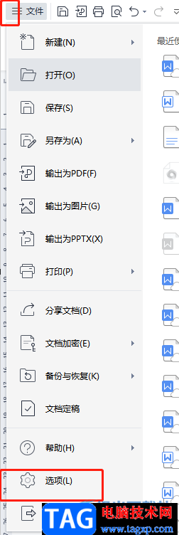?wps文檔將文字標黃顯示不出來的解決教程