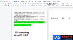 ?wps文檔設置選項的圓形單選按鈕的教程