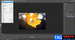 Adobe Photoshop放大或者縮小