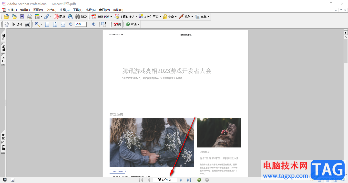adobe acrobat 7.0刪除頁面的方法