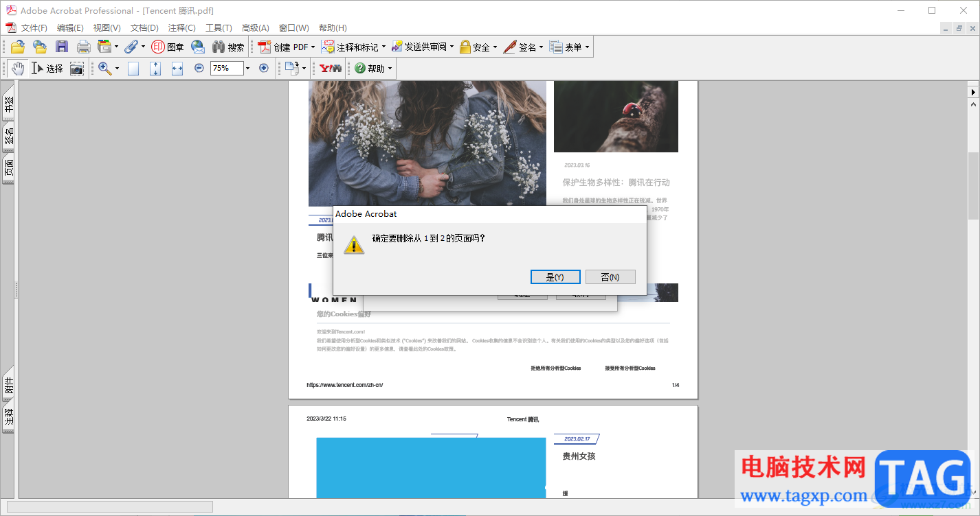 adobe acrobat 7.0刪除頁面的方法