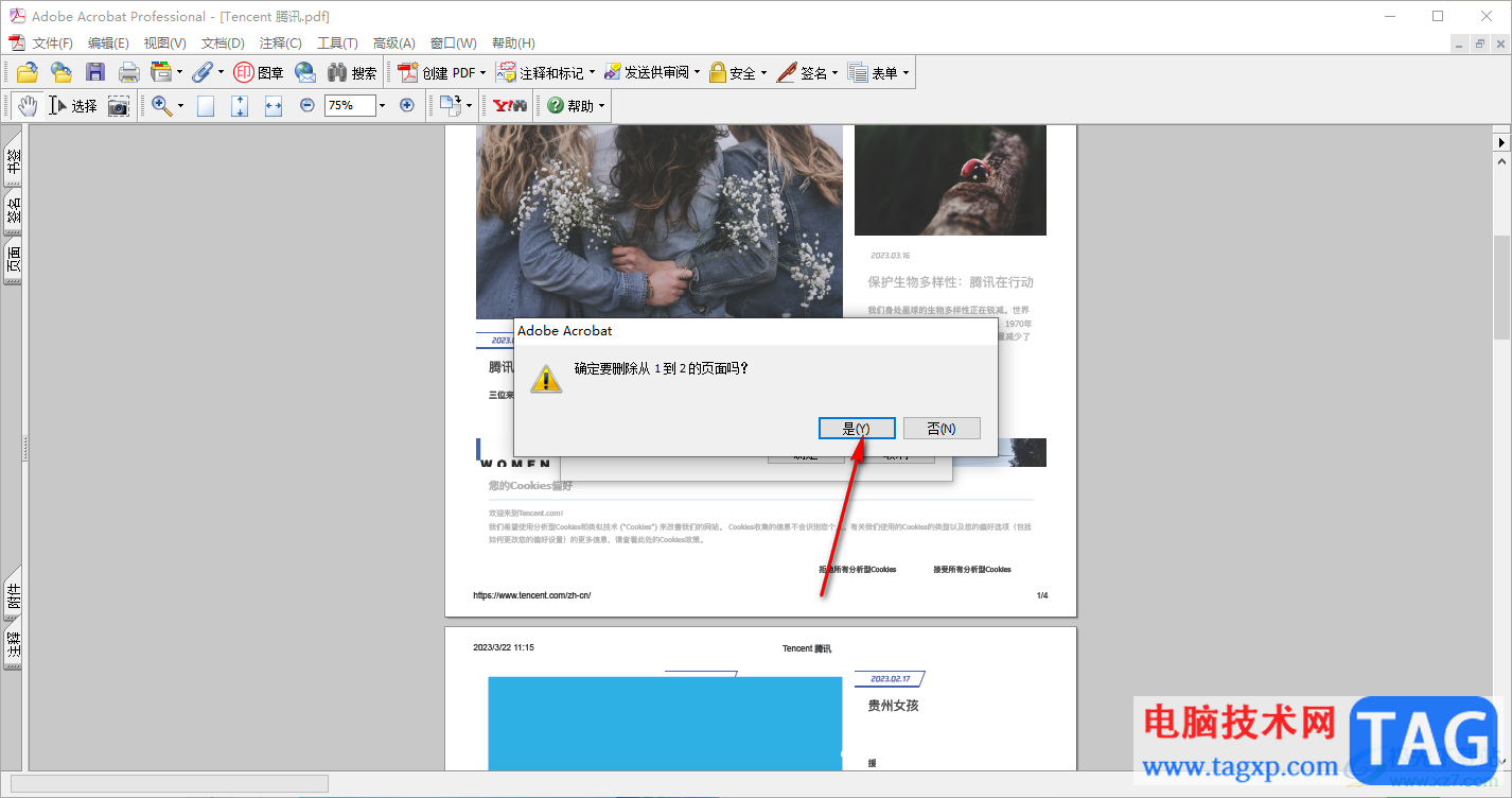 adobe acrobat 7.0刪除頁面的方法