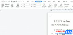 wps文檔將中文全部刪除的