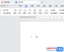 WPS Word文檔中插入cm的方法
