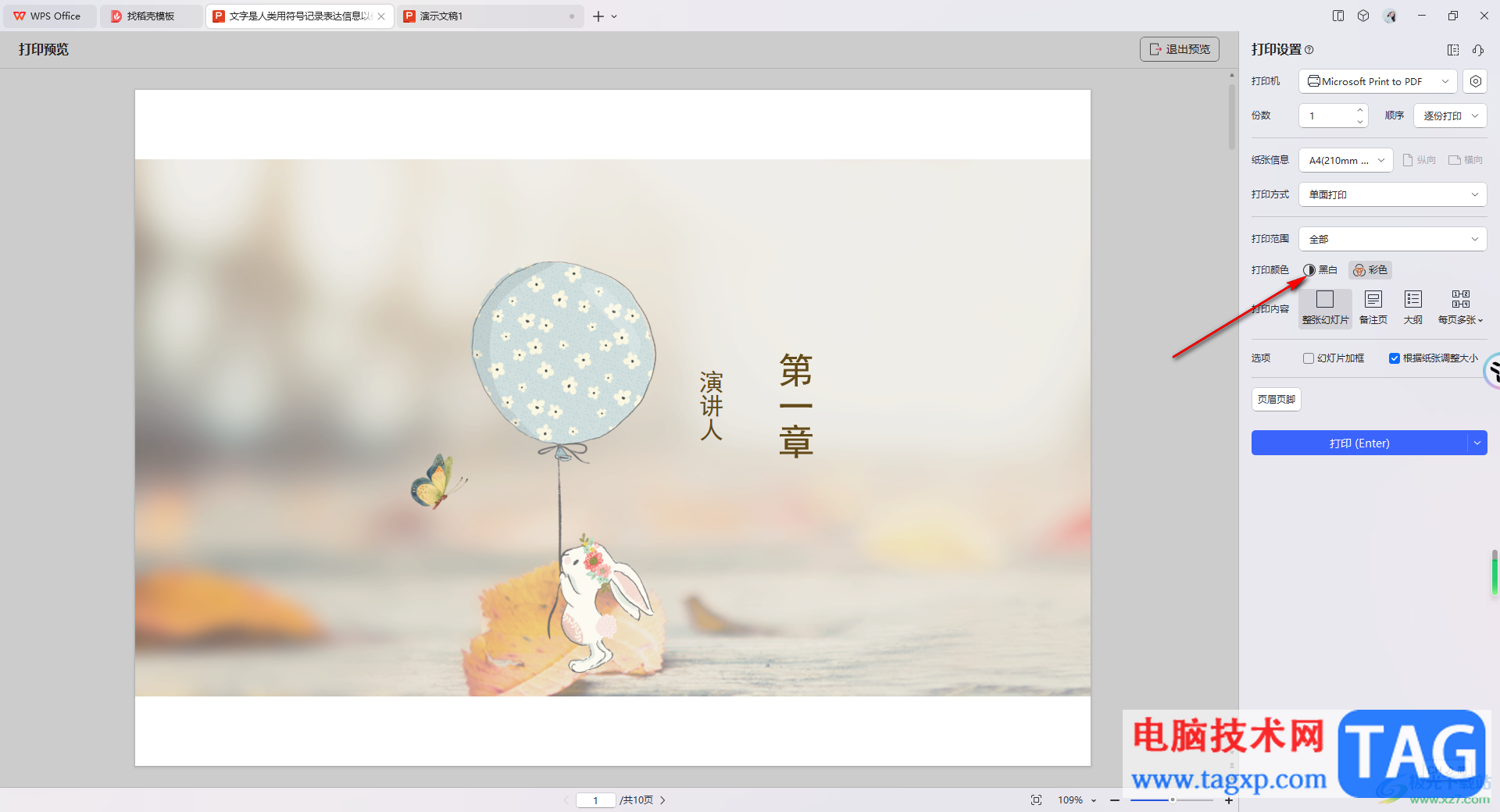 WPS PPT演示文稿設(shè)置成黑白風(fēng)格的方法