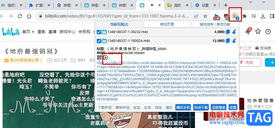 谷歌瀏覽器下載網(wǎng)頁視頻的方法