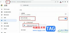 谷歌瀏覽器更改網(wǎng)站主頁
