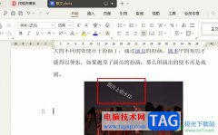 WPS Word設(shè)置水印在圖片上的方法