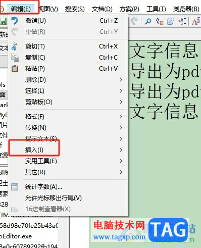 editplus插入分頁符的教程