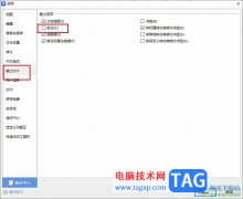 WPS Word設(shè)置輸出PDF時(shí)不輸出