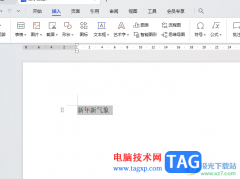 WPS Word去除窗體域灰色陰影底紋的方法
