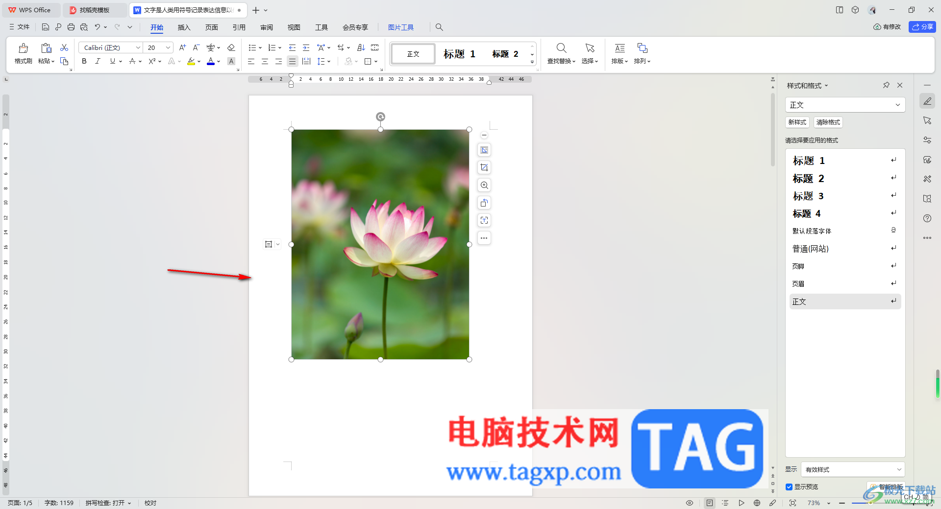 WPS Word中插入的圖片成為一條直線的解決方法