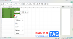 WPS excel內(nèi)容填充顏色復(fù)制到另一個表顏色