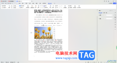 WPS word圖片嵌入式無法完整
