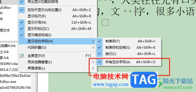 ?editplus文本按下空格出現(xiàn)圓點(diǎn)的去除教程