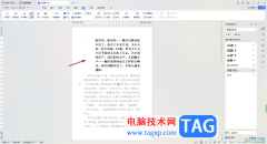 WPS Word中某一段文字出現(xiàn)整