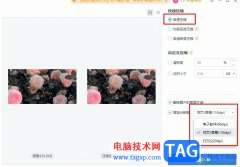 WPS PPT壓縮幻燈片中的圖片