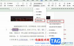 WPS Word不顯示批注內(nèi)容的解決方法