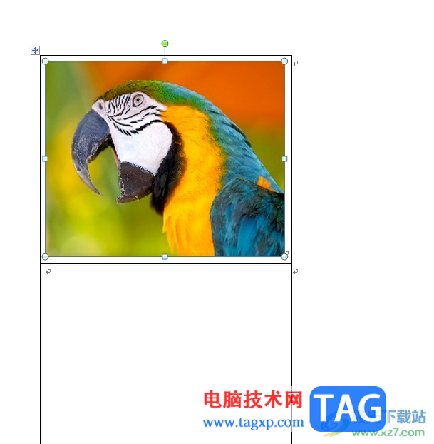 word圖片恰好填滿方框的設(shè)置教程