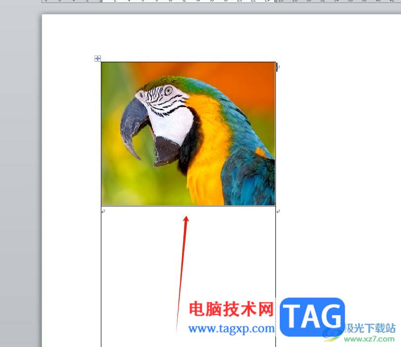 word圖片恰好填滿方框的設(shè)置教程