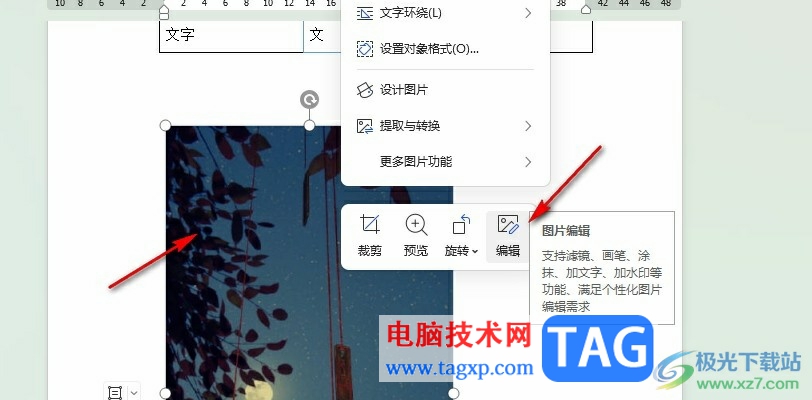 WPS Word給圖片添加馬賽克的方法