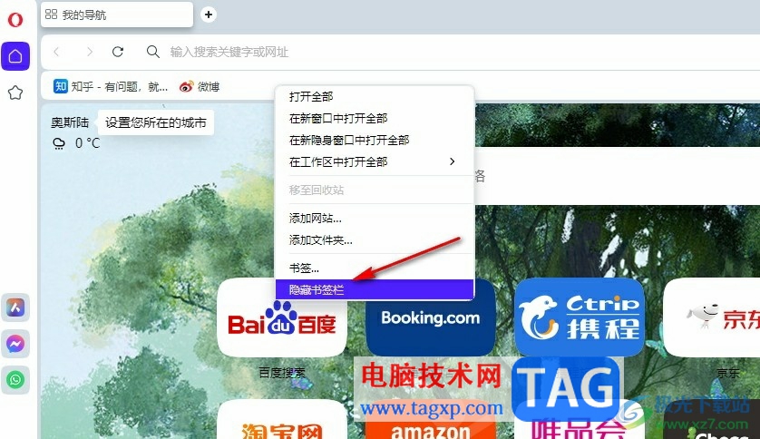 歐朋瀏覽器顯示書簽欄的方法