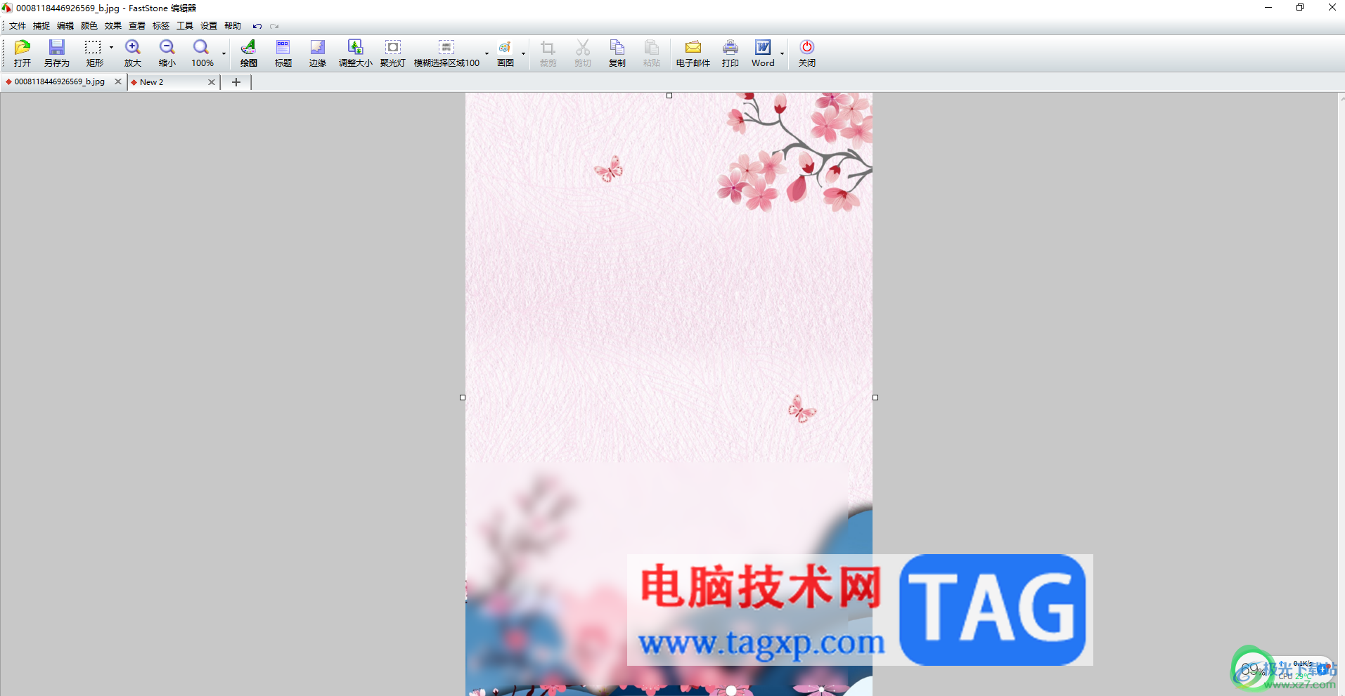 FastStone Capture設置圖片部分模糊虛化的方法