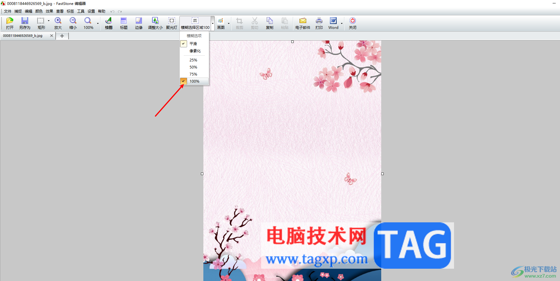 FastStone Capture設置圖片部分模糊虛化的方法