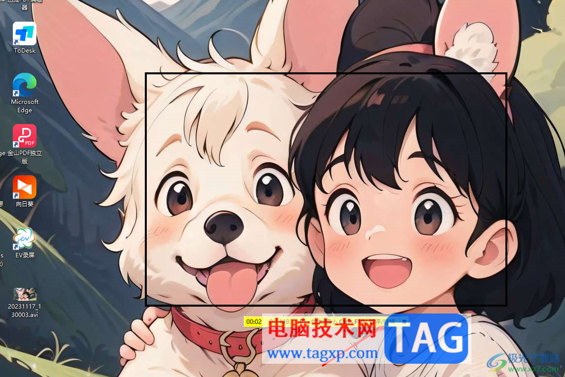 FastStone Capture進(jìn)行錄制視頻的方法