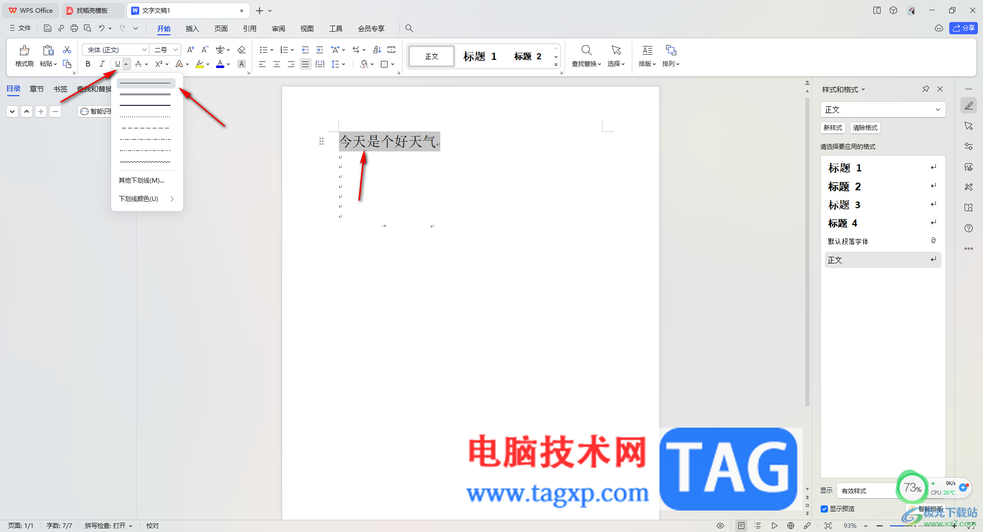 WPS Word插入下劃線沒有顯示的解決方法