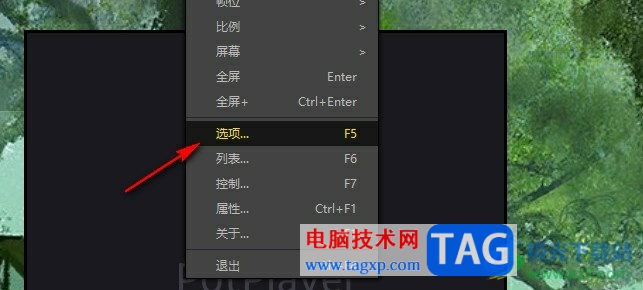 PotPlayer自定義播放器打開后窗口大小的方法