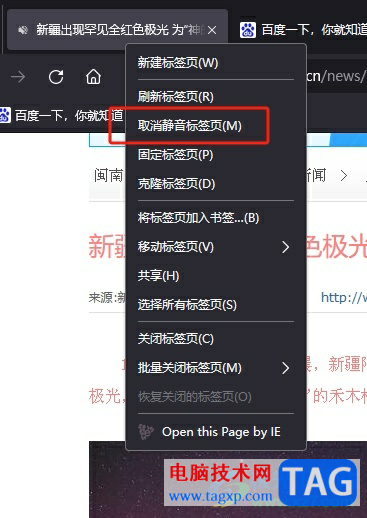 ?火狐瀏覽器一鍵開啟網(wǎng)頁(yè)靜音播放的教程