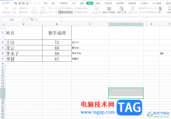 wps表格查看自己設(shè)置的保