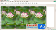 WPS Excel表格設(shè)置背景圖片