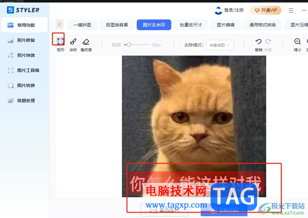 Styler去除圖片水印的教程