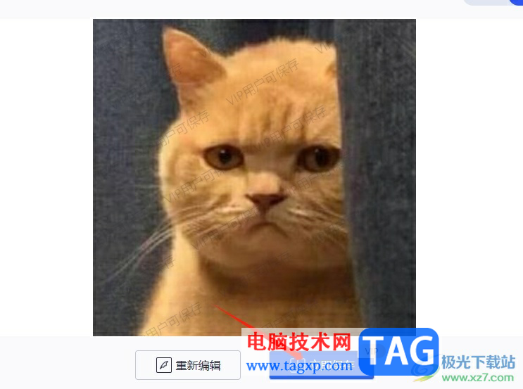 Styler去除圖片水印的教程