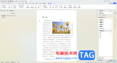 WPS word設(shè)置圖文混排的方法
