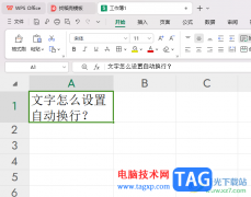 wps表格文字太長(zhǎng)設(shè)置自動(dòng)